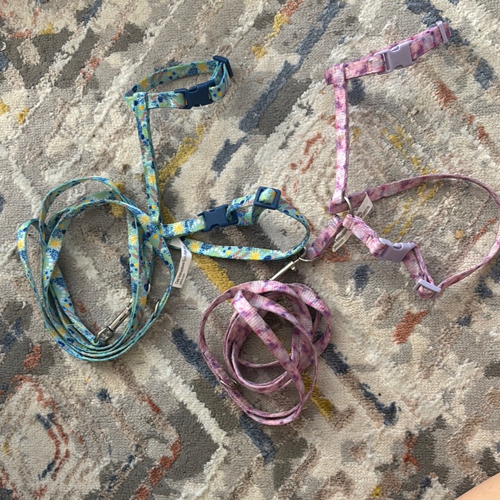 2 Pet Harness and Leash Set